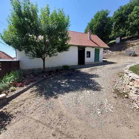 Félix ház Villa Torockó Kültér fotó
